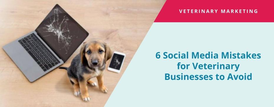 Oops! 6 Social Media Mistakes for Veterinary Businesses to Avoid