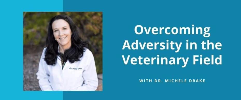 How Three Successful DVMs Have Overcome Adversity in the Veterinary Field