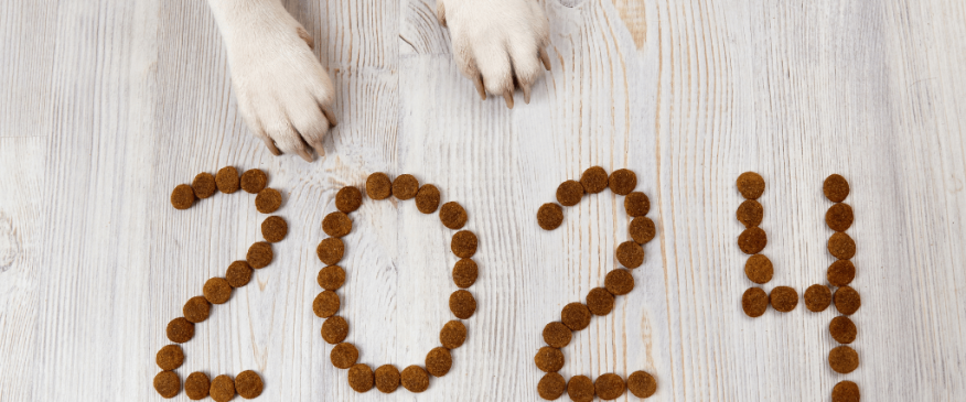 




7 Fun Ways to Ring in the New Year With Your Pet


