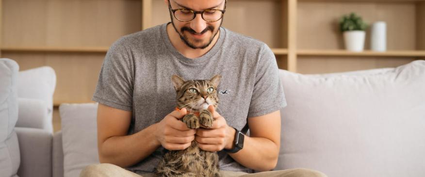 A Simple Way to Stay Ahead of Your Cat’s Daily Health
