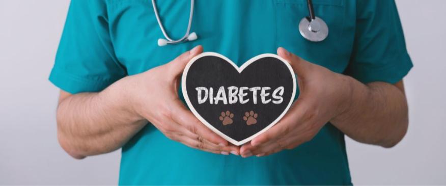 




Demystifying Diabetes in Pets: A Guide for National Pet Diabetes Month


