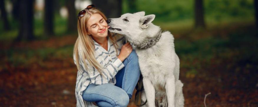 




Love Languages of the Animal Kingdom: How Our Furry Friends Show Affection


