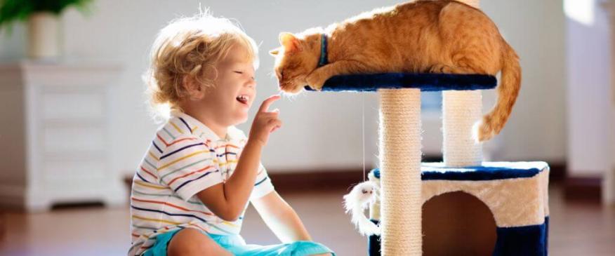 




Creating a Safe Bond: Helping Kids Understand Cat Signals


