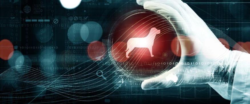 




Unraveling the Mysteries: The Fascinating World of Pet DNA Testing


