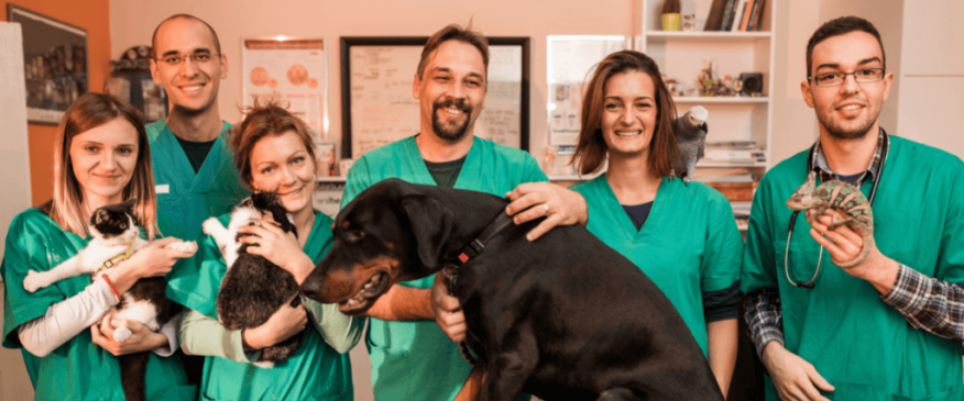 




The Benefits of Using an AAHA-Accredited Veterinary Hospital


