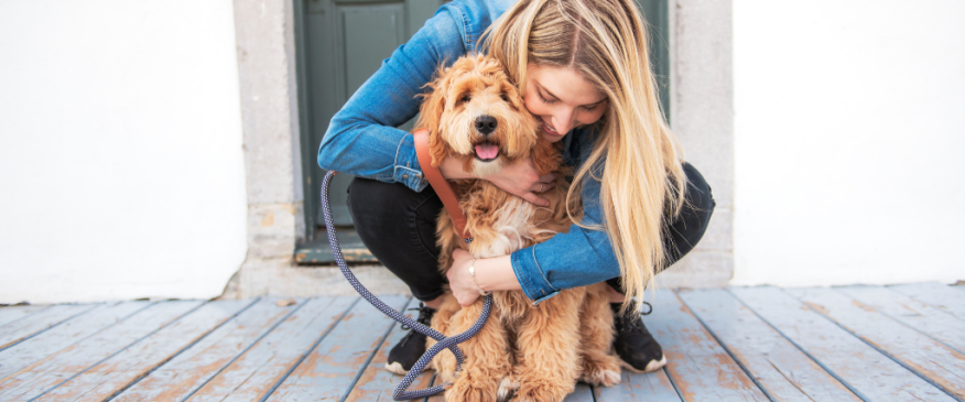 




Addison&#039;s Disease in Dogs: What Every Pet Parent Should Know


