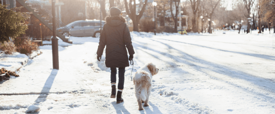 Winter Walks That Will Make Their Tails Wag