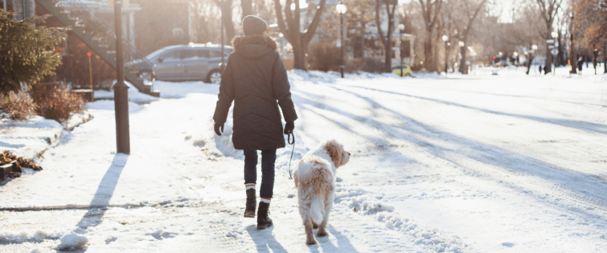 




Exploring Your Winter Wonderland: The Guide to Festive Walks with Your Dog


