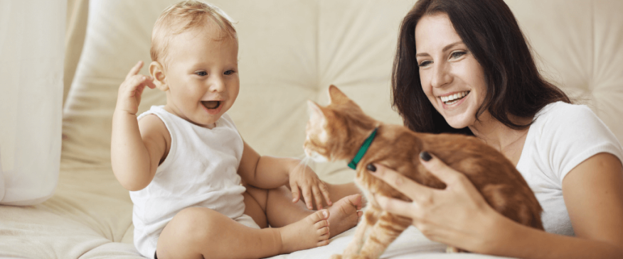 




New Baby? Here’s How to Prepare Your Pets and Make the Transition Easier 


