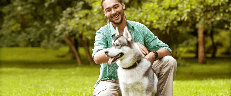 How To Find The Best Pet Trainer