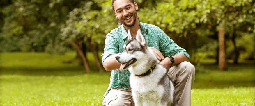 




How To Find The Best Pet Trainer


