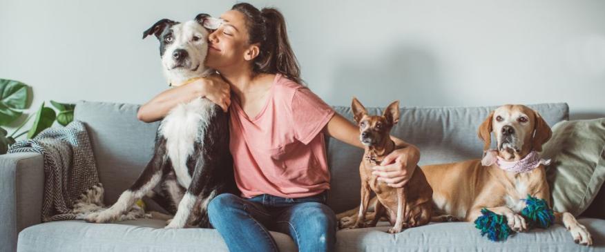 




A Guide to Finding the Best Pet Insurance



