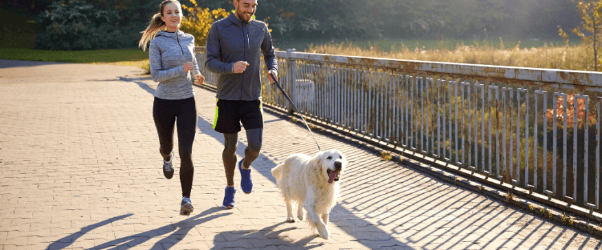 The Best Dog Breeds for Runners