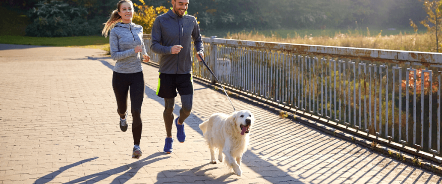 




The Best Dog Breeds for Runners


