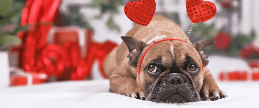 




 Top 5 Valentine&#039;s Day Toxins!


