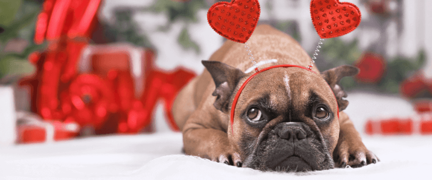  Top 5 Valentine's Day Toxins!
