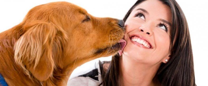 




Why Do Dogs Like to Give Kisses? 


