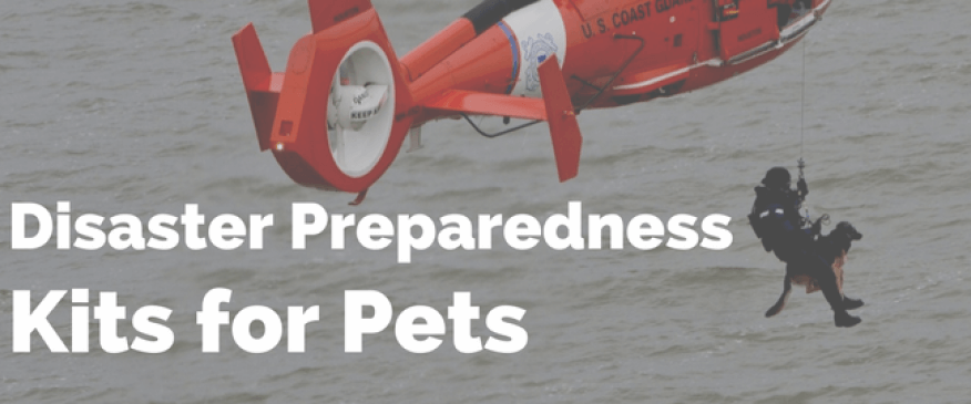 




Disaster Preparedness Kits For Pets


