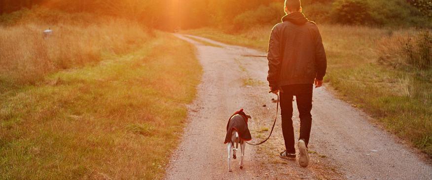 Hospice Care and Euthanasia: When It’s Time to Say Goodbye