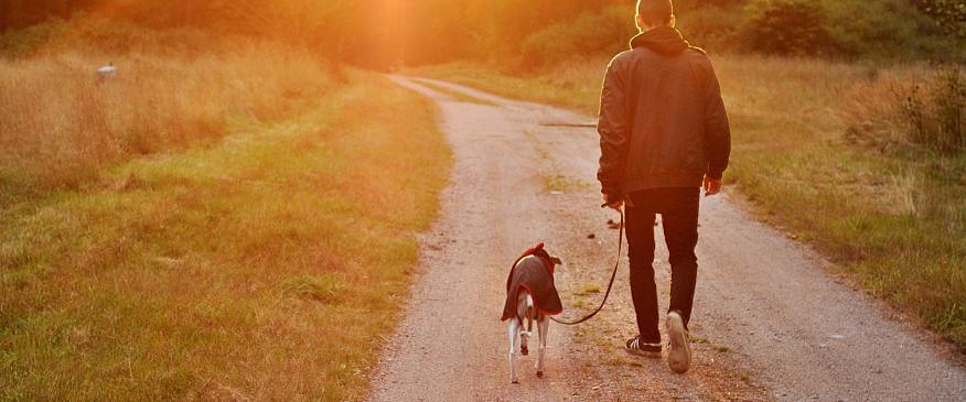 Hospice Care and Euthanasia: When It’s Time to Say Goodbye