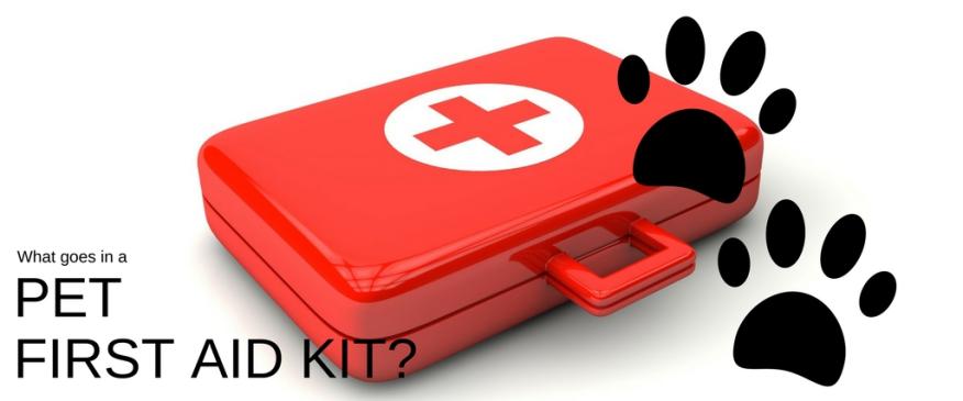 




What Goes in Your Pet First Aid Kit?


