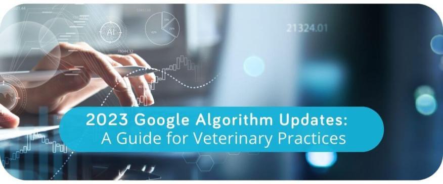 2023 Google Algorithm Updates: A Guide for Veterinary Practices