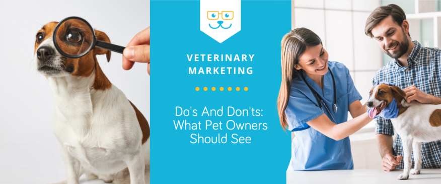 




What Pet Owners Should See On Your Social Media When Considering Your Vet Practice


