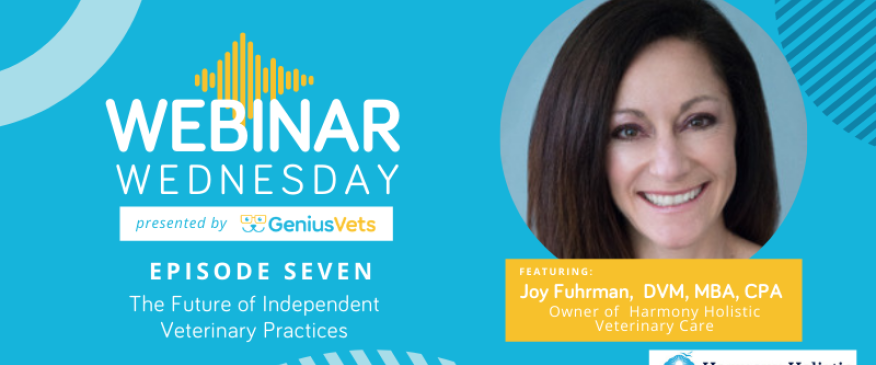 The Future of Independent Veterinary Practices: Episode 7, With Dr. Joy Fuhrman