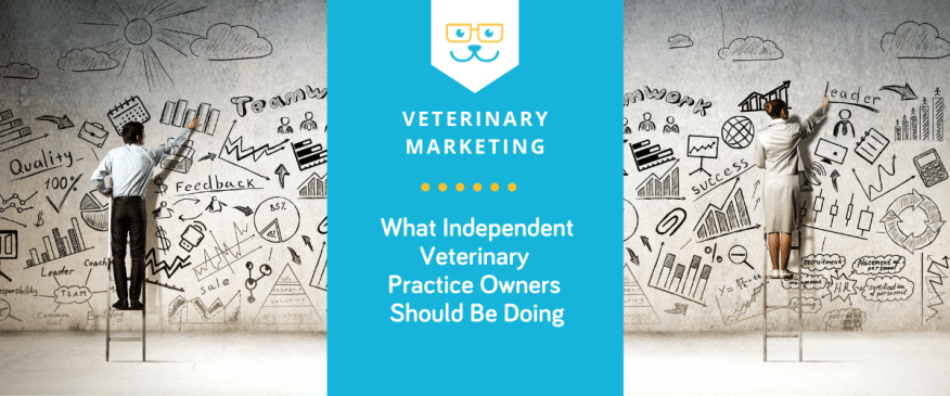 Is A Veterinary Industry Downturn Coming? – Here's How to Prepare and Use It To Your Advantage