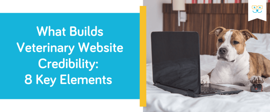 8 Ways to Build Veterinary Website Credibility and Earn Pet Owner Trust