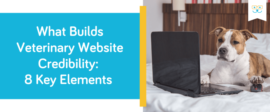8 Ways to Build Veterinary Website Credibility and Earn Pet Owner Trust