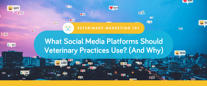 What Social Media Platforms Should Veterinary Practices Use? (And Why)
