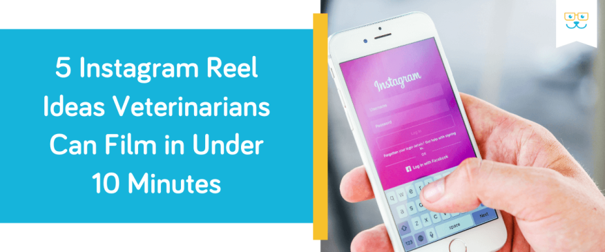 5 Instagram Reel Ideas Veterinarians Can Film in Under 10 Minutes