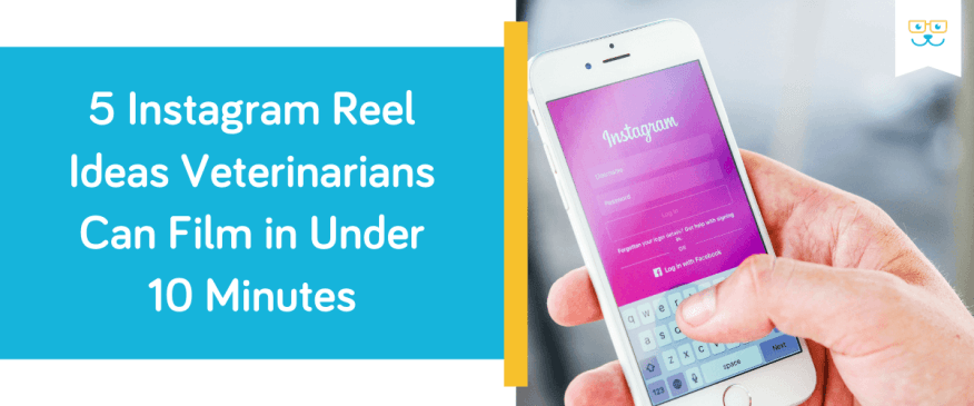 5 Instagram Reel Ideas Veterinarians Can Film in Under 10 Minutes