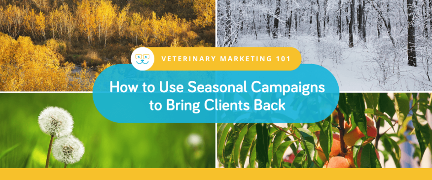 How to Use Seasonal Campaigns to Bring Clients Back