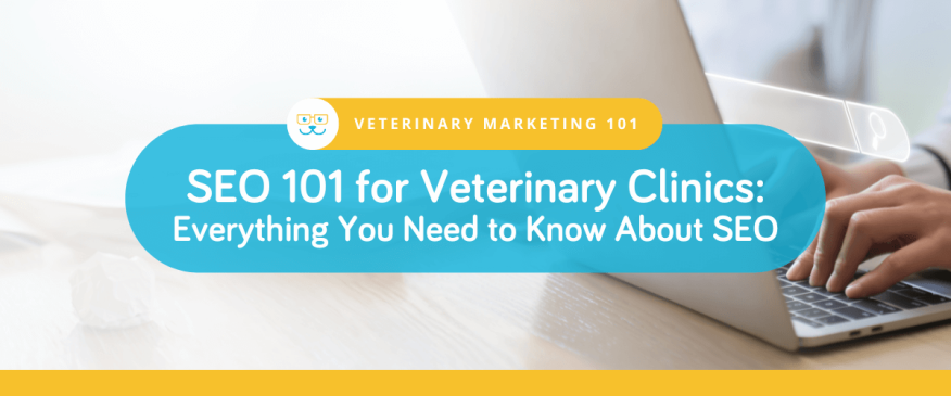 SEO 101 for Veterinary Clinics: Everything You Need to Know About SEO