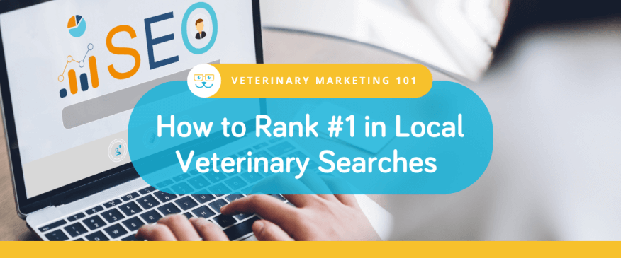 How to Rank #1 on Google in Local Veterinary Searches 