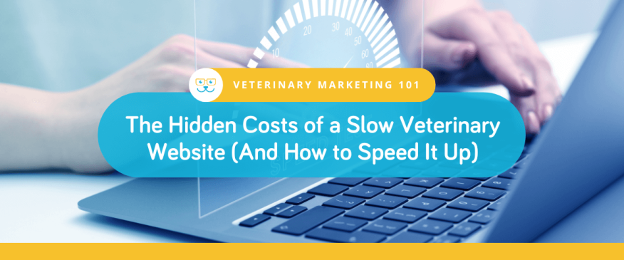 The Hidden Costs of a Slow Veterinary Website (And How to Speed It Up)