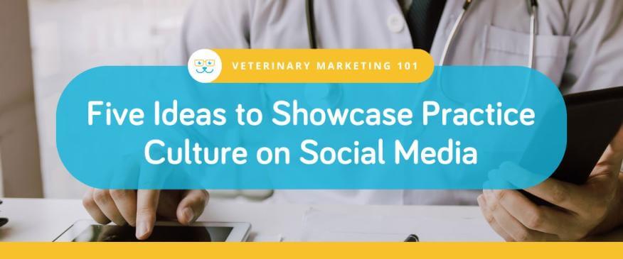 Five Veterinary Social Media Post Ideas to Showcase Practice Culture
