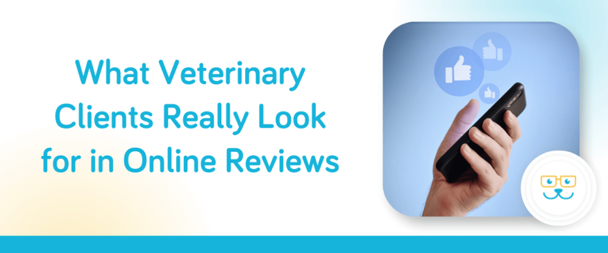 What Veterinary Clients Really Look for in Online Reviews