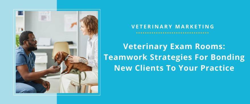 Veterinary Exam Rooms: Teamwork Strategies For Bonding New Clients To Your Practice