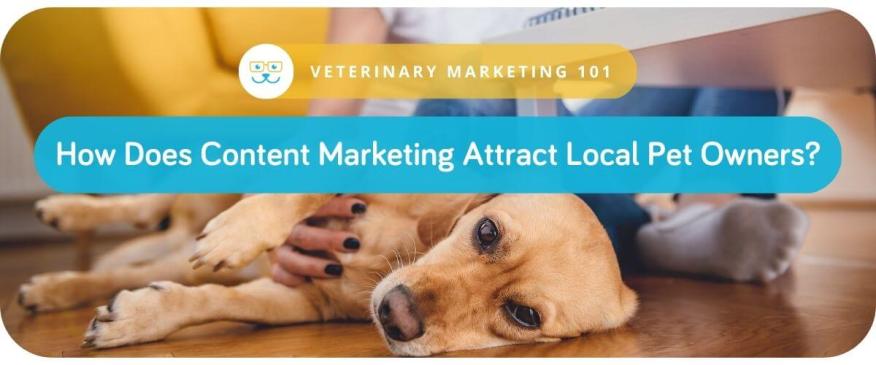 




Veterinary Marketing 101: How Does Content Marketing Attract Local Pet Owners?


