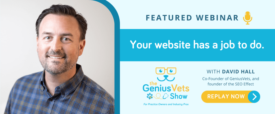 The GeniusVets Show with David Hall - Your Website has a Job to do