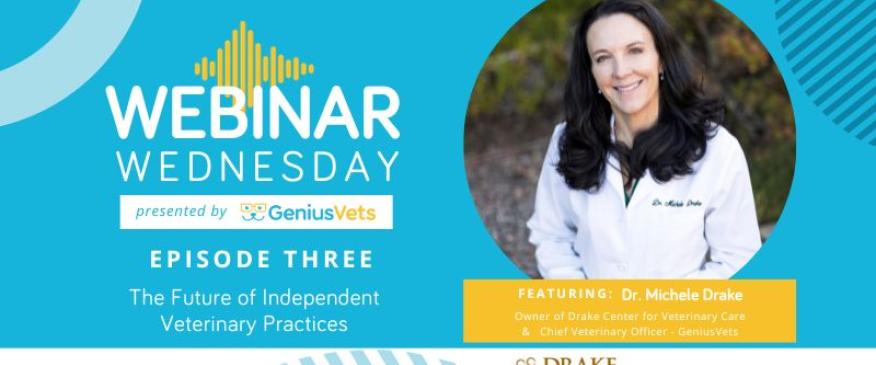 The Future of Independent Veterinary Practices, Episode 3: Dr. Michele Drake