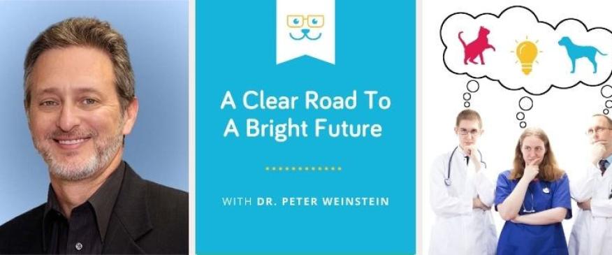 




A Clear Road To A Bright Future -  With Dr. Peter Weinstein


