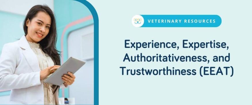 Experience, Expertise, Authoritativeness, and Trustworthiness (EEAT)