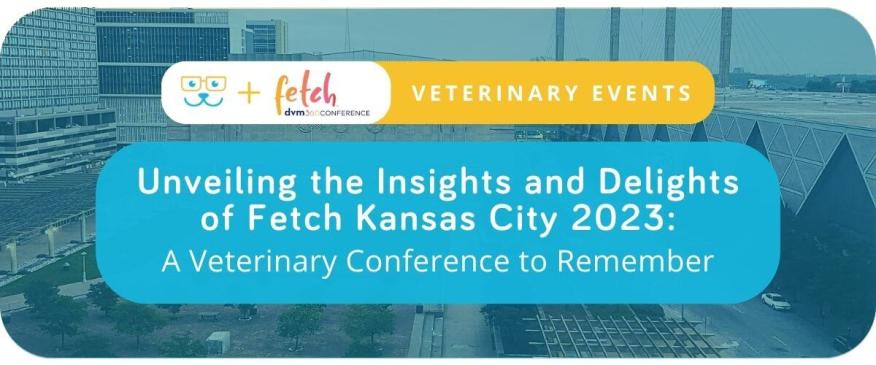Unveiling the Insights and Delights of Fetch Kansas City 2023: A Veterinary Conference to Remember