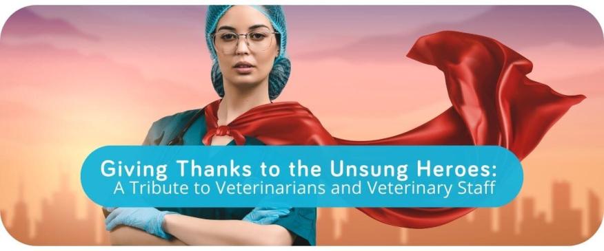 




Giving Thanks to the Unsung Heroes: A Tribute to Veterinarians and Veterinary Staff


