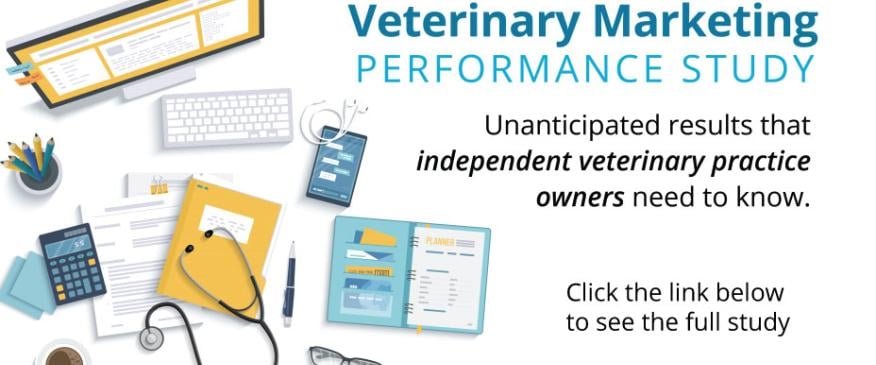 Who Is The Top Veterinary Marketing SEO Company?