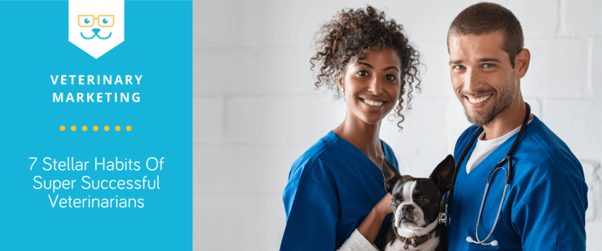 7 Stellar Habits Of Super Successful Veterinarians